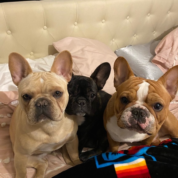 Meet your Posher, Lena - Picture 14 of 16